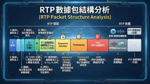 RTP數據包結構分析